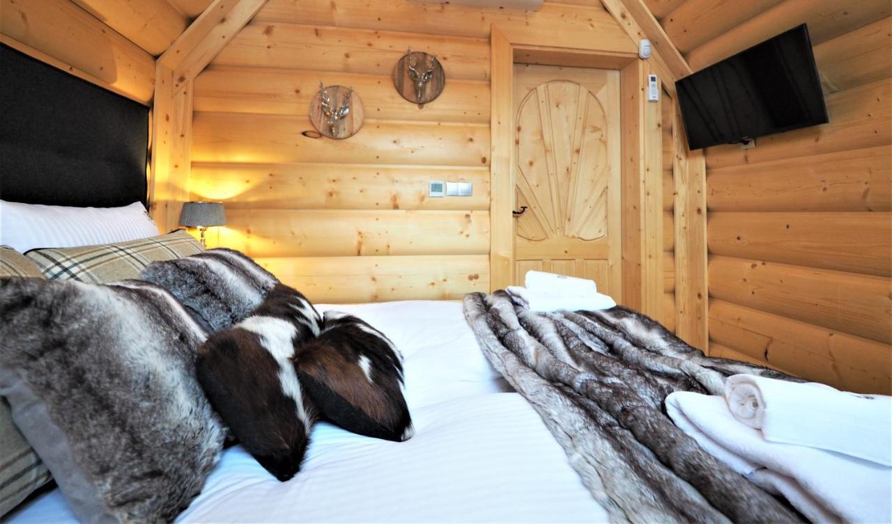 Domek Jelonek Bachledzki Wierch Zakopane Dış mekan fotoğraf